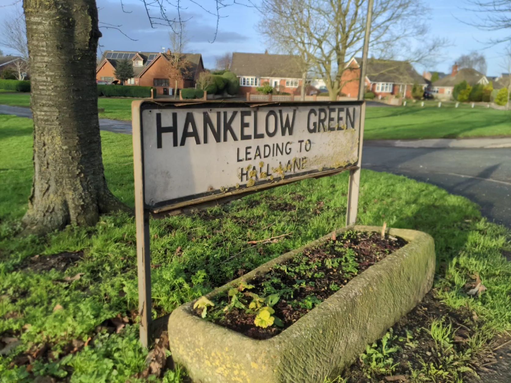 Hankelow Green in Winter